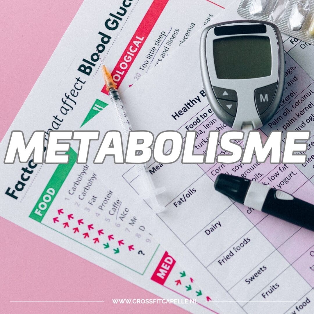 Metabolisme betekent dit (En zo kun je het verbeteren)